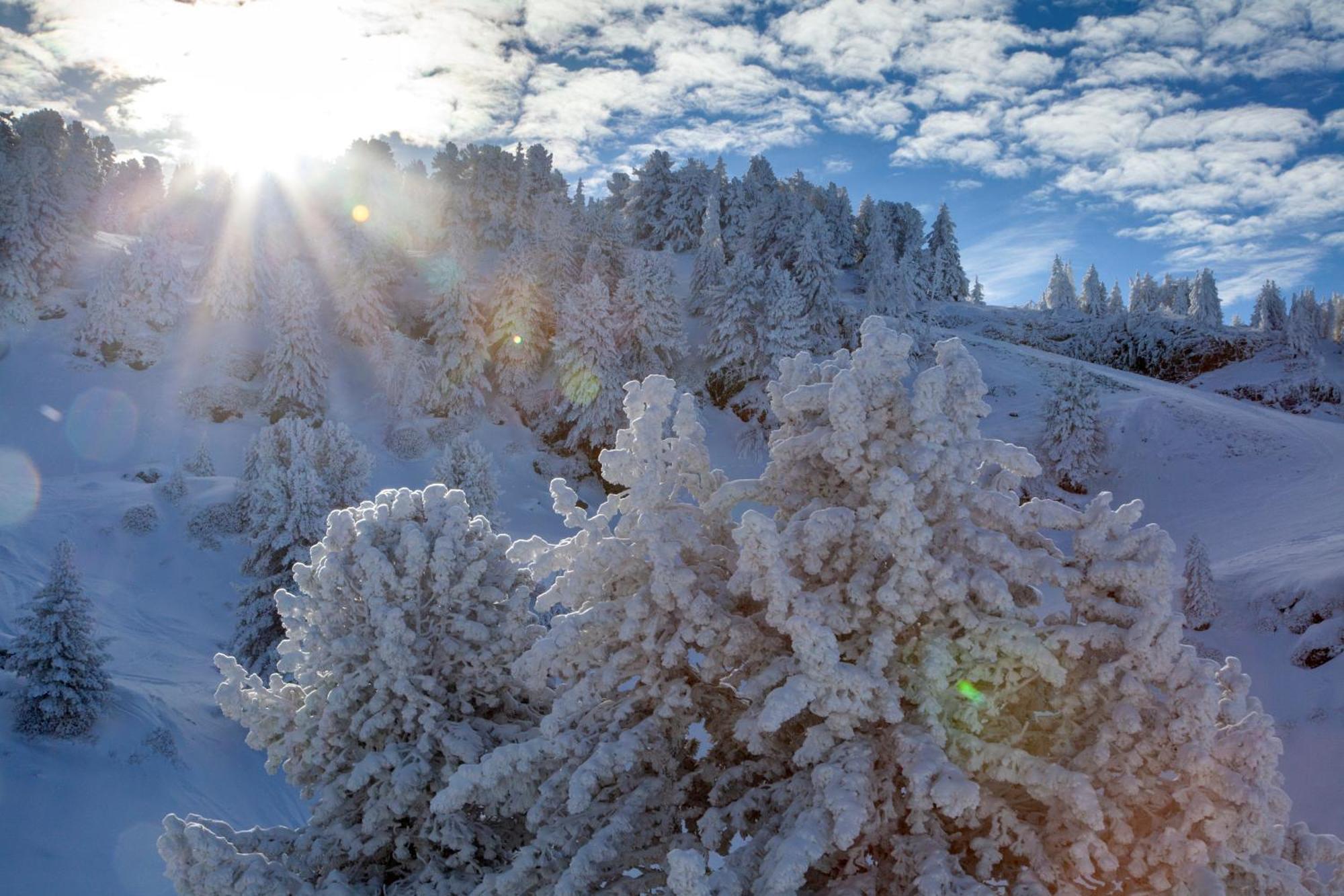 Studio, 2 Personnes, Les Balcons De Recoin Chamrousse Dış mekan fotoğraf